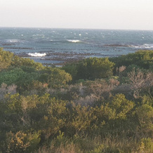 Rocky Pools Bettys Bay, 贝蒂湾 — 照片 5