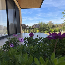Ave Suites Campestres Jalpan, 哈尔潘德塞拉 — 照片 3