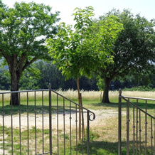 Mas De La Truffiere, Малатаверн — фото 2