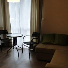 Apartament Centrum, 切霍维采-杰济采 — 照片 5