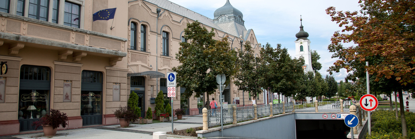 Erzsebet Kiralyne Hotel, 格德勒 — 照片 1