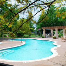 North Texas Jellystone Park, 贝尔莱松 — 照片 2