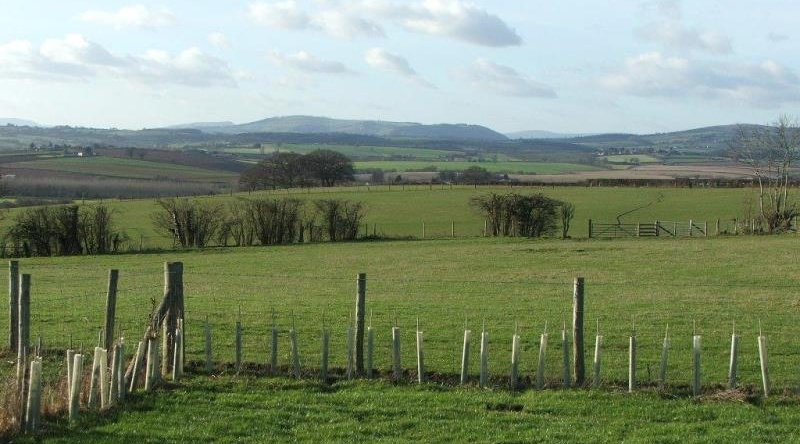 Little Treaddow Farmhouse B and B, Saint Owens Cross — photo 1