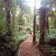 kilnopark hotel machame, 乞力马扎罗 — 照片 5