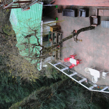 Pinewood Cottages & Spa Shimla, Shimla — photo 2