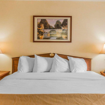 Rodeway Inn Sylacauga Hwy 280, Sylacauga — photo 4