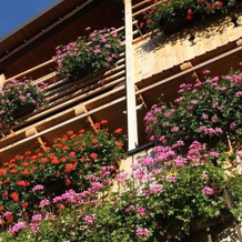 Albergo Centrale Forni, Форни-ди-Сопра — фото 5