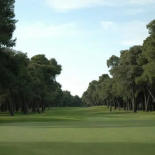 Riva Dei Tessali Hotel & Golf Resort, Кастелланета — фото 4