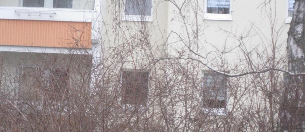 Ferienwohnung Mit Aegidienblick, Oschatz — фото 1