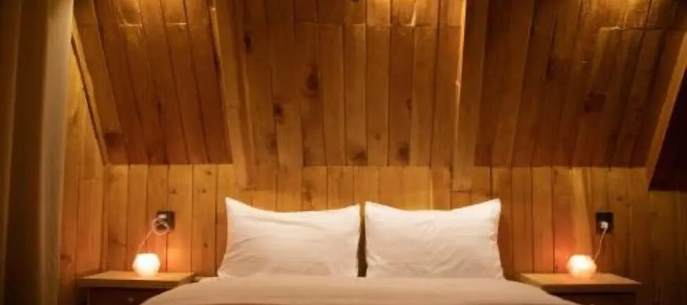 Timber Resorts and Hotel, 纳格达尔 — 照片 1