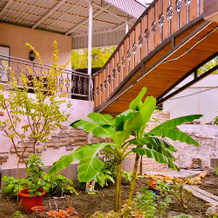 Nash Dom Guest House, 格连吉克 — 照片 3