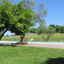 Tenuta Le Coste, Citta della Pieve — photo 2