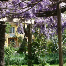 Maison d'Hôtes Bleu Pastel, Gaillac — photo 5