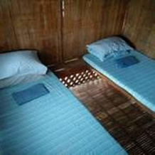 Bamboo Paraiso, 阿拉米诺斯 — 照片 2