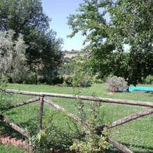 Podere Santa Teresa, 斯坎扎诺 — 照片 2