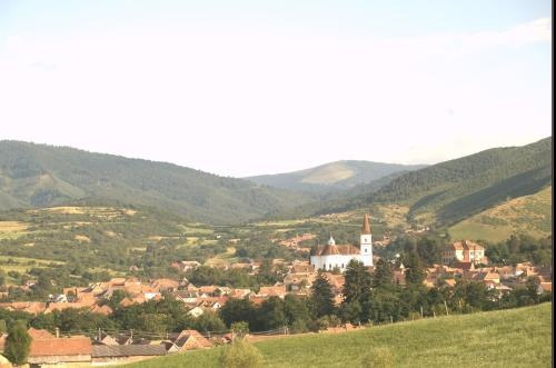 Picturesque Village in Transylvania, 勒希纳里 — 照片 1