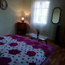 Vujovic Guest House, Даниловград — фото 4