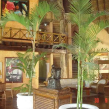 Hotel Eurostars Hacienda Vista Real, 卡门城 — 照片 2