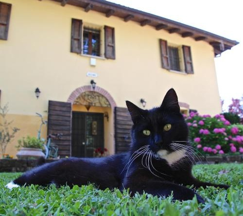 B&B Casale La Decima, Budrio — photo 1