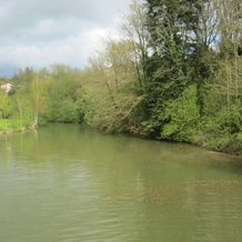 Auberge de Maitre Pannetier, Vouvant — photo 2