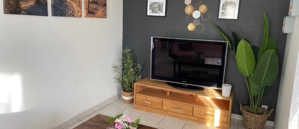 Maison entière 4 lits 8 pl avec jacuzzi proche du safari de Peaugres, Anneyron — photo 1