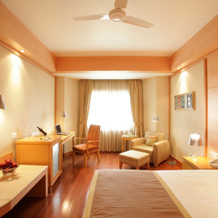 Jaypee Vasant Continental, 新德里 — 照片 4