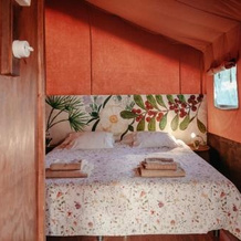 Glamping Dehesa de las Yeguas, Puerto Real — photo 5