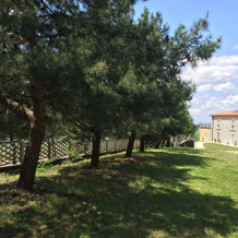 L'Albero d'Oro, Flumeri — photo 4