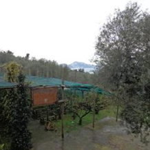 Tenuta Montecorbo, Сорренто — фото 4