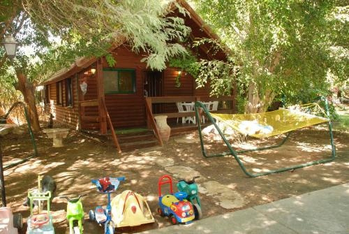 Oasis Gadish, Ein Yahav — photo 1