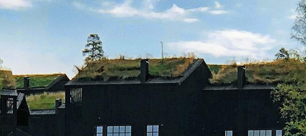 Holiday Home In Sälen, Сален — фото 1