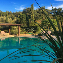 Tuscany Luxury Villapoolgardens Exclusively Yours Slps 18 Hot Springs Area, Сан-Кашиано-деи-Баньи — фото 5