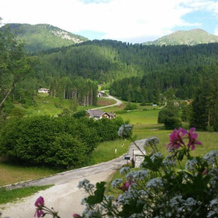 Albergo Chalet Abete Rosso, 卡斯泰洛泰西诺 — 照片 2