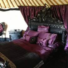 Lincoln Yurts, Gainsborough — photo 3