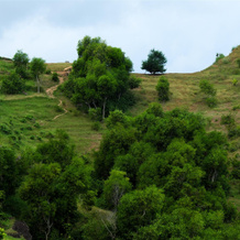 @HOM Kudus, 库杜斯 — 照片 4