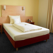Hotel Adler, Gross-Gerau — photo 5