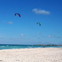 Tryp Cayo Coco, 可可岛 — 照片 5