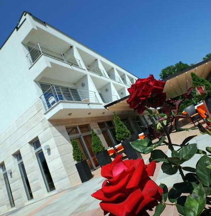 Villa Rosetta, Zambratija — photo 1