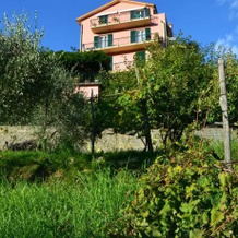 Villa Delle Rose, Лейви — фото 2