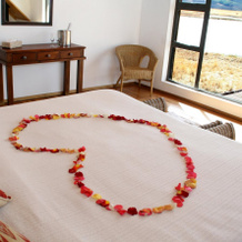 Sani Valley Nature Lodges, 海姆维尔 — 照片 3
