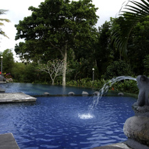 Margo Utomo Hill View Resort, 卡利巴鲁 — 照片 3