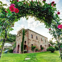 Casa Vacanze Podere La Casina, 锡纳伦加 — 照片 5