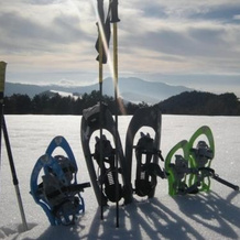 Dolomitissime Holiday Homes Alleghe, Alleghe — photo 3