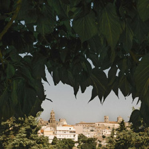 Casa Vacanze Patrizia, Montescaglioso — photo 2