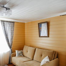 Veselevo.Dacha, 米季诺 — 照片 4