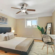 Charming 1BR Apt in Arlington Heights, 阿灵顿海茨 — 照片 4