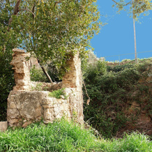Rustic Holiday Home in Catalonia With Swimming Pool, 利尔斯 — 照片 5