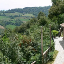 Agriturismo La Filomena, Монтефортино — фото 5