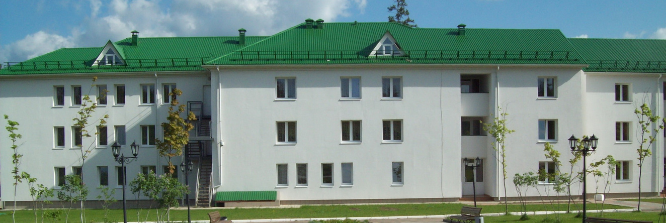 База Отдыха Красная Гвоздика, Истра — фото 1