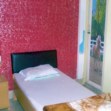 Hotel Paying Guest, Джалпайгури — фото 5